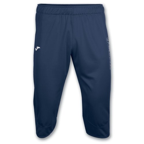 Бриджи/шорты тренировочные